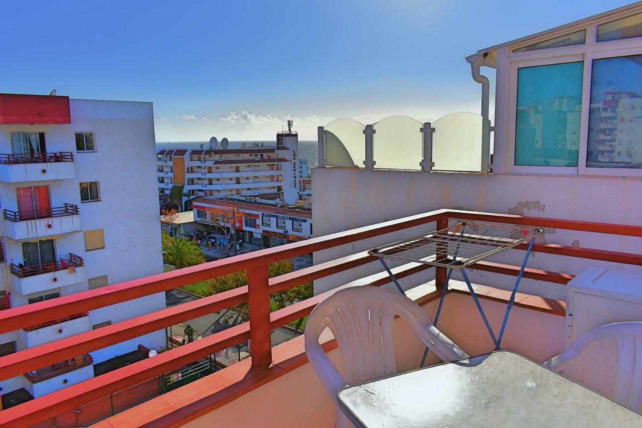 Palmeras Del Sur 2S أذيخي المظهر الخارجي الصورة
